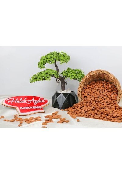 Haluk Aydın Kuruyemiş Çiğ Kayısı Çekirdeği 1 KG