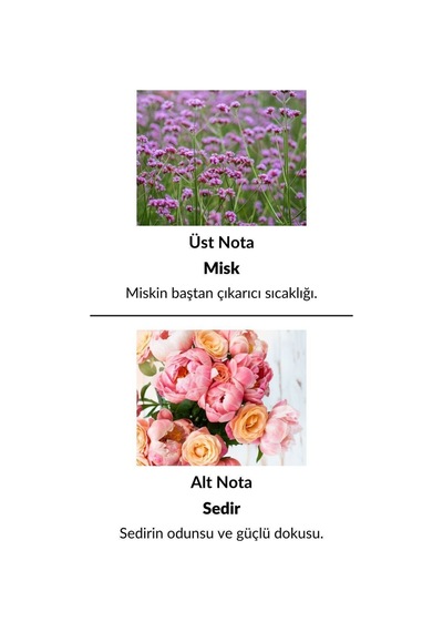 Alescia At-70 Erkek Parfüm EDP 50 ML