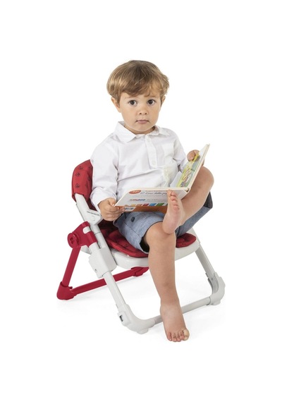 Chicco Chairy Yükseltici Mama Sandalyesi - Laydbug