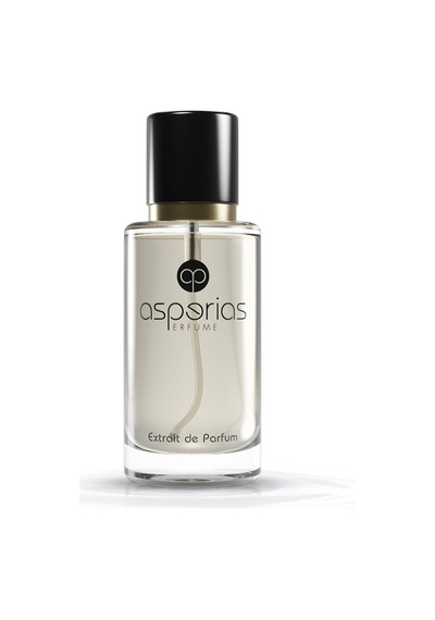 W017, Hypnotıc Poıson 'dan Esinlenilmiş Koku İkizi, 50ml Extrait De Parfum Kadın Parfümü Diğer