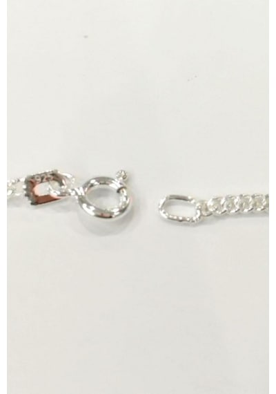 Silver Unisex Gurmet 1,9 Mm Gümüş Kolye Zincir