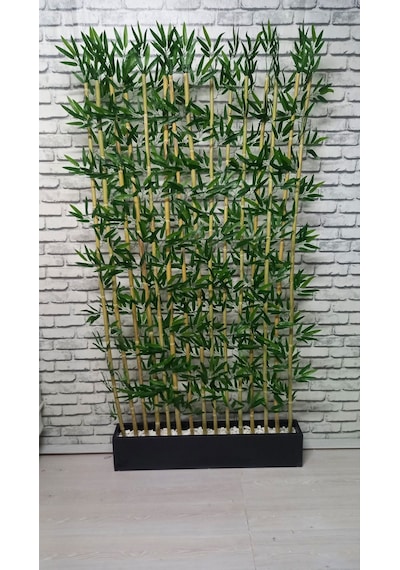 Bambu Speratör 220 Cm Boy 100 Cm Saksıda 15'li Yeşil