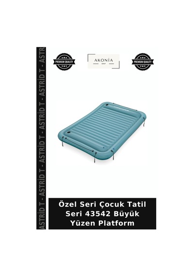 Özel Seri Çocuk Tatil Seri 43542 Büyük Yüzen Platform Belirtilmemiş