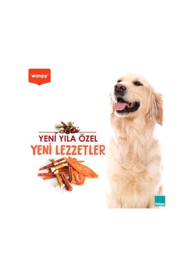 Wanpy Karışık Yılbaşı M-02h Köpek Ödülü 300 G
