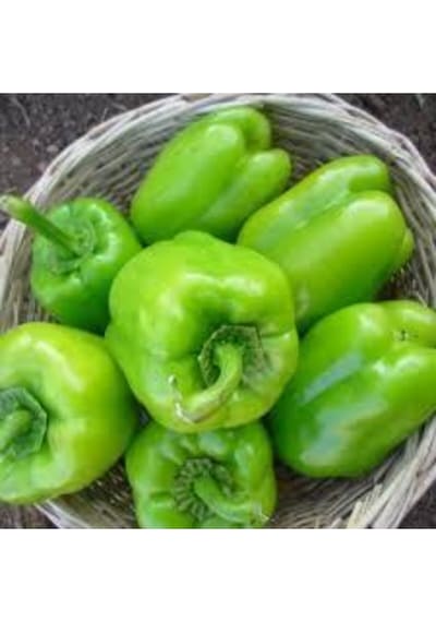 50 Adet Tohum Süper Paket Beyaz Tatlı Dolmalık Biber Dolma Biber Tohumu Sürpriz Hediye Tohum