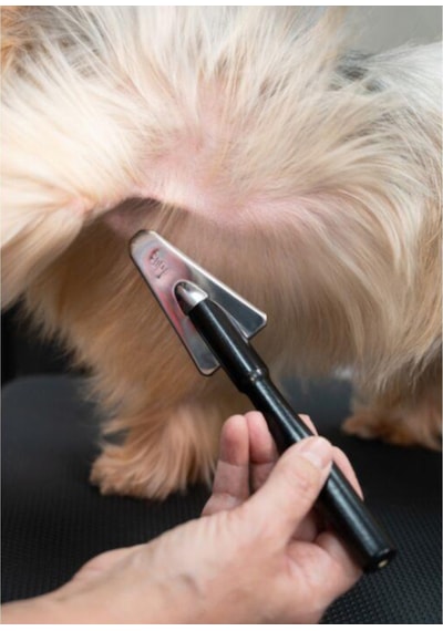 Yento Show Coat Extra Uzun Saplı Dar Alanlar İçin Köpek Tarağı