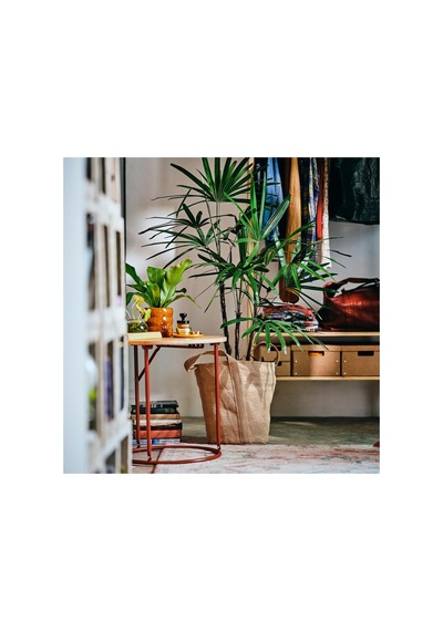 Ikea Kompishäng Saksı 32 Cm Naturel