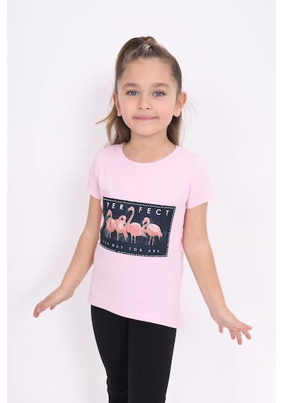 Toontoy Kids Toontoy Kız Çocuk Flamingo Baskılı Tişört Pembe
