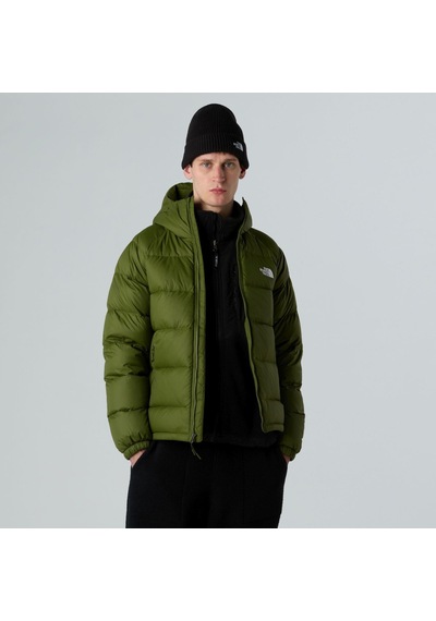 The North Face Erkek Hydrenalıte Kaztüyü Hoodıe Ceket Nf0a5gıebrı1 Tek Renk