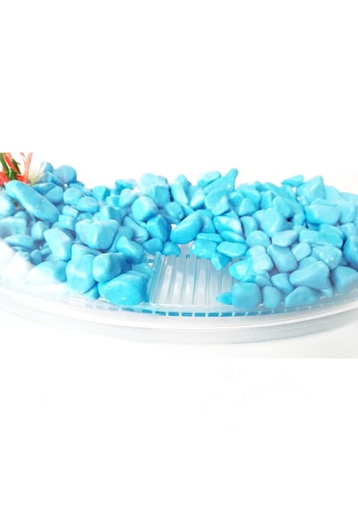 Bölmeli Izgaralı Betta Beta Kabı Tankı Akvaryum 1800 ML 19 x 8 x 13 CM Mavi