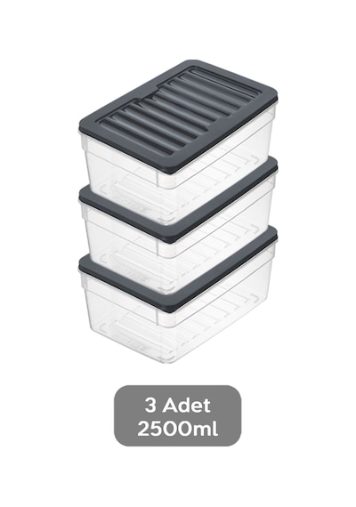 3'lü Derin Mikrodalga Uyumlu Organizer Set Düzenleyici Gıda Erzak Saklama Kabı 2500 ML Antrasit
