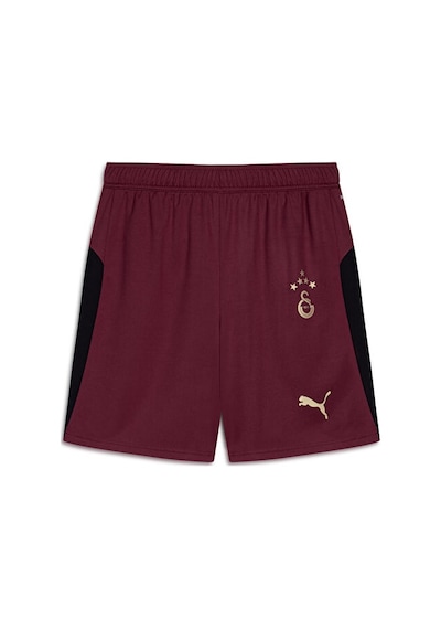 Puma Gsk Shorts Replica W/blocking W/o Erkek Galatasaray 25/26 Futbol Şortu 77982303 Siyah Siyah
