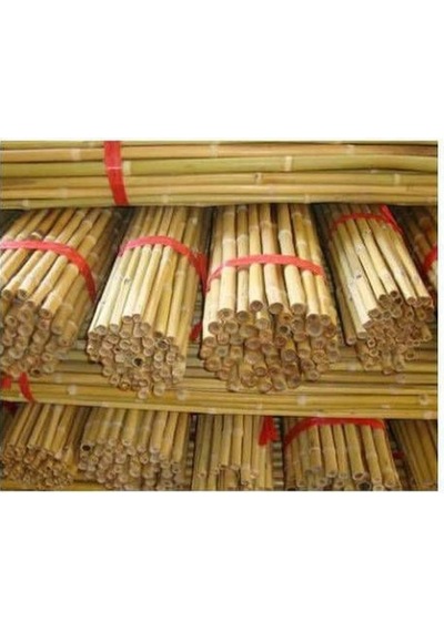 Bitki Destek Çubuğu Bambu 75 Cm 20 Adet