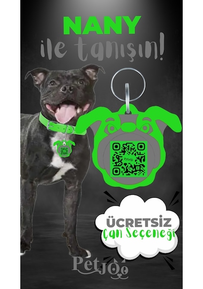 Petjoo 17.Nany Gri-Yeşil Qr'lı Köpek Künyesi