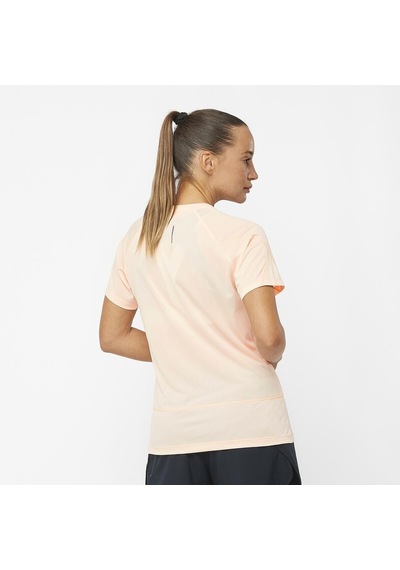 Salomon Cross Run Ss Tee W 27956 Çok Renkli