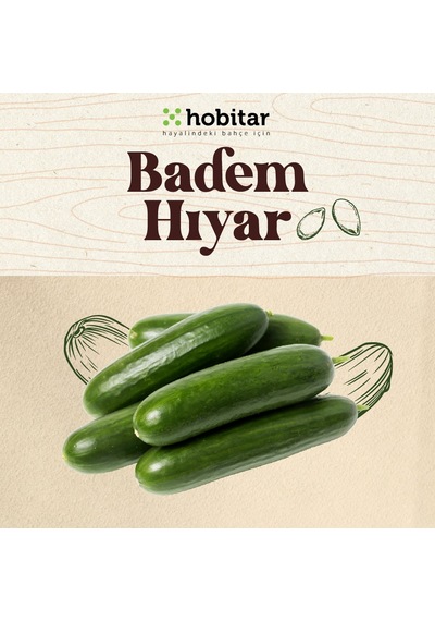 Hobitar Badem Hıyar Salatalık Tohumu