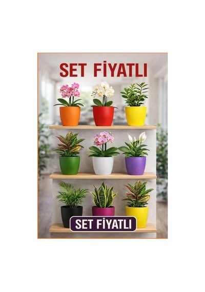 Hüskon Ticaret 5'li Orkide Dekoratif Saksı Seti Kırılmaz Plastik 1.25 L 12.5 Cm Çap 15 Cm Yükseklik Renkli