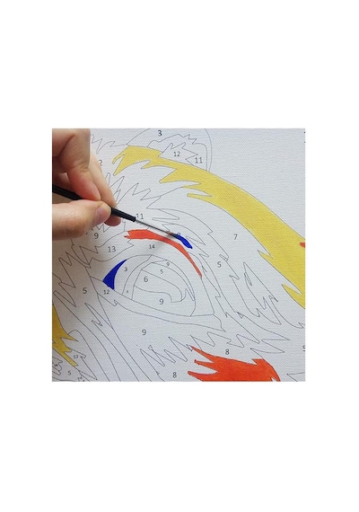 Tutku 9 Sayılarla Boyama Seti - Çerçeveli, 40x50cm