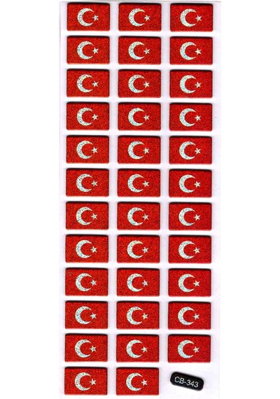 Sticker Kabartmalı Sticker Defter Planlayıcı Etiket Cb343 16x7 Cm- Türk Bayrağı Çok Renkli