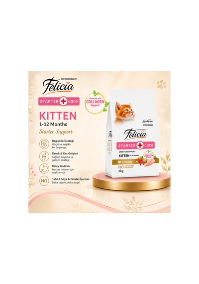 Felicia Starter Care Kitten Tavuklu Yavru Kedi Maması 2 Kg Düşük Tahıllı, Kolajen Destekli, 1-12 Ay - 886580817