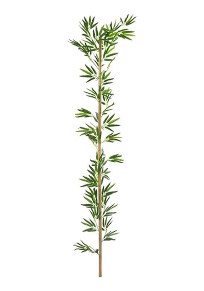 Rüzgar Çiçekçilik 120 Cm Bambu 4 Adet Yeşil