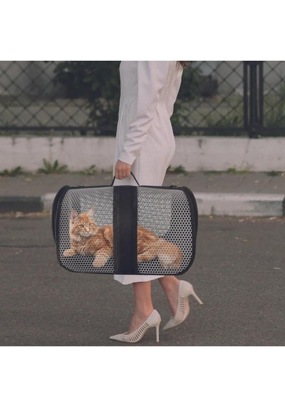 Havalandırmalı Pvc Dokulu Kedi Taşıma Çantası, Uçak Seyahatine Uygun