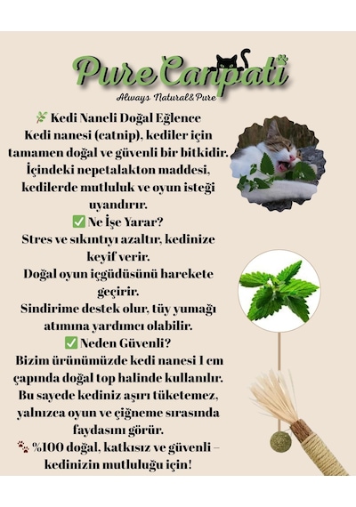 Purecanpati Kedi Naneli Matatabi Çubuğu, Doğal, Gerginlik Azaltıcı, Diş Sağlığına Katkı 2 Adet