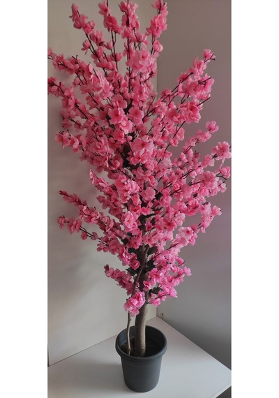 Rüzgar Çiçekcilik 145 Cm Plastik Saksıda Pembe Bahardali Pembe