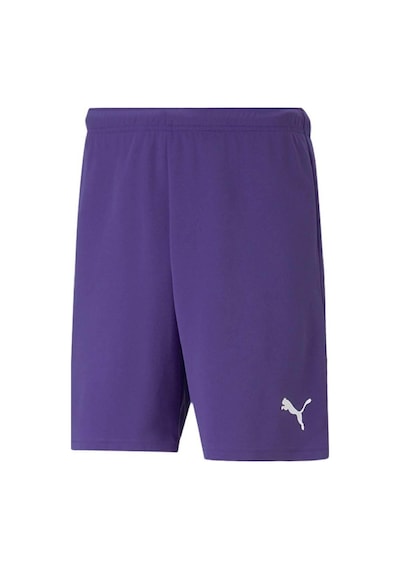 Puma Teamrise Short Erkek Futbol Şortu 70494210 Mor