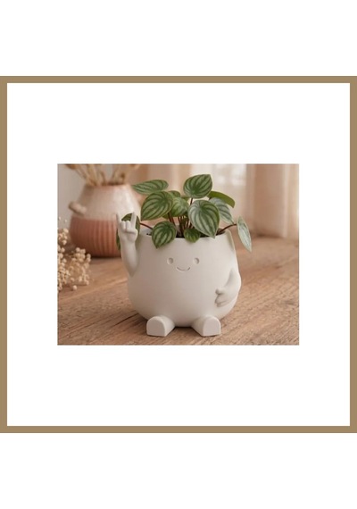 Bezos 3d Baskı Smiley Face Planter - Gülümseyen Karakterli Saksı-beyaz 22
