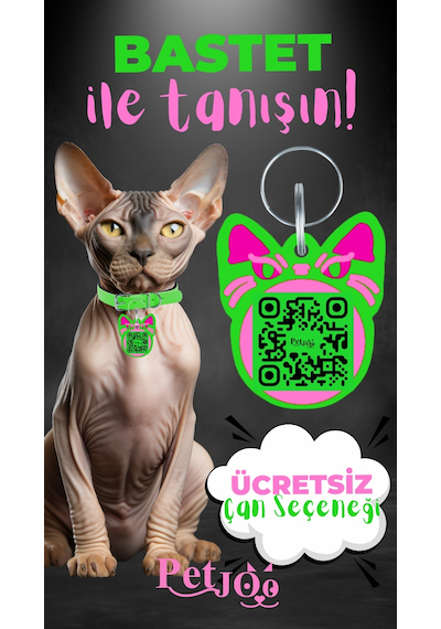 Petjoo 1.Bastet Pembe-Yeşil Qr'lı Kedi Künyesi