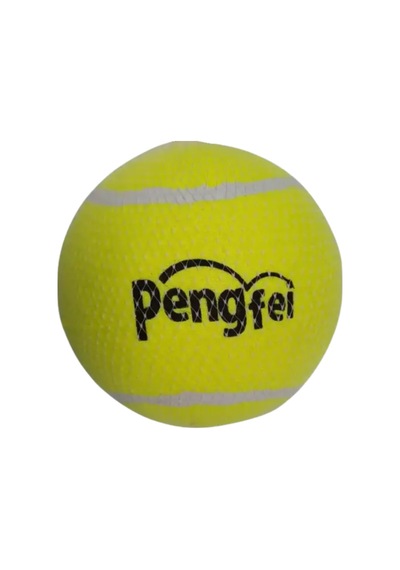 Köpek Oyun Tenis Topu 12.5 Cm 1'li Orta Boy