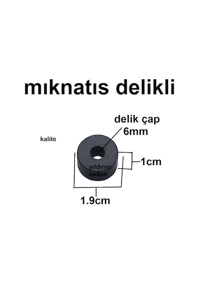 Mıknatıs Halka Siyah Delikli Deney Mıklatıs