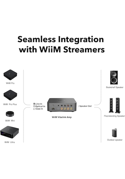 Wiim Vibelink Entegre Amfi