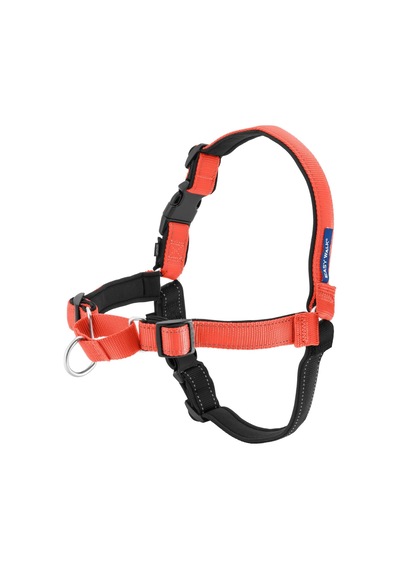 Deluxe Easy Walk Köpek Koşum Takımı Genel