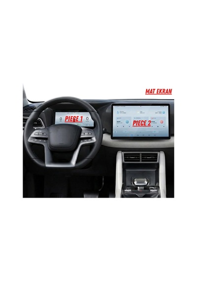 Byd Atto 2 Boost Hayalet Ekran Ve Multimedya Uyumlu Mat Ekran Koruyucu