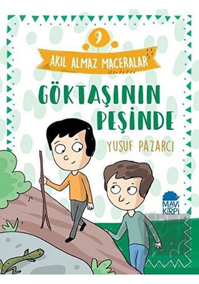 Göktaşının Peşinde: Akıl Almaz Maceralar-9 - Yusuf Pazarcı - Mavi Kirpi