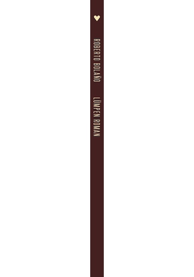 Lümpen Roman - Roberto Bolano - Can Yayınları