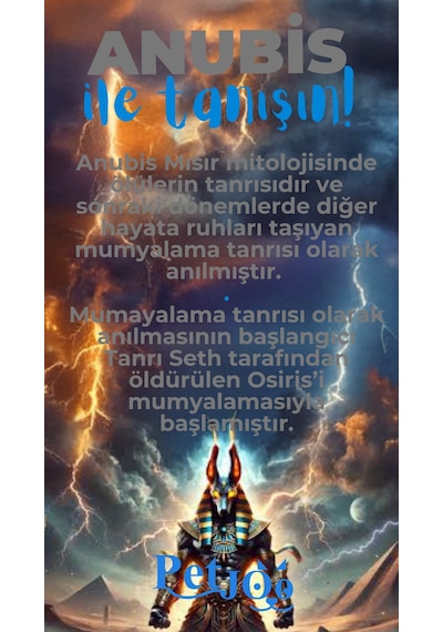 Petjoo 30.Anubis Mavi-Gri Qr'lı Köpek Künyesi