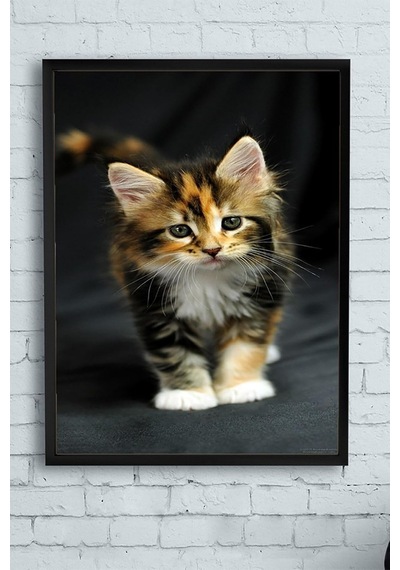 Pster11543 Kedi Hayvan Çerçeveli Tablo 2 30 X 40cm 7/8 Yaş