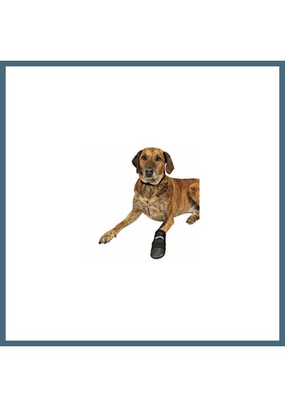 Trixie Neopren Köpek Patiği 2 Adet Siyah Xxxl Agc