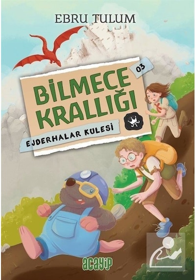 Ejderhalar Kulesi - Bilmece Krallığı 3 - Ebru Tulum - Acayip