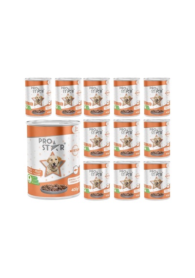 Yetişkin Köpek Somonlu Ve Jöleli Konserve Mama 400 Gr X 12 Adet
