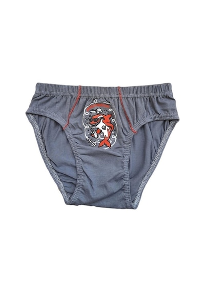 Tutku Iç Giyim Erkek Çocuk Desenli Slip Külot 6 Lı Paket