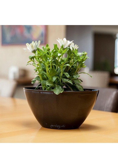 Serinova Kayık Arajman Saksı 3,25 Lt 99080656