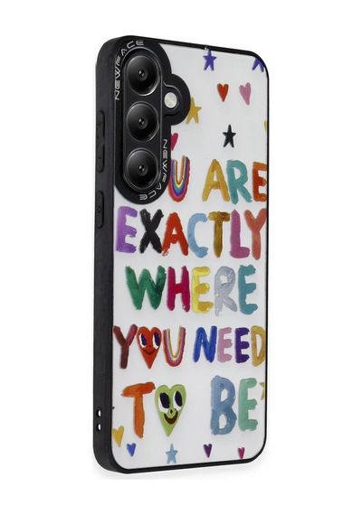 Flzdgnkr Newface Samsung Galaxy S24 Plus Kılıf Mirror Desenli Kapak - Mirror - 10