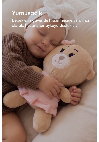 Beti Uyku Arkadaşı Ayıcık