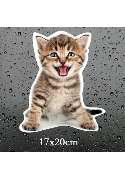 Sevimli Yaramaz Kedi Araba Sticker Etiket 18Cm M6
