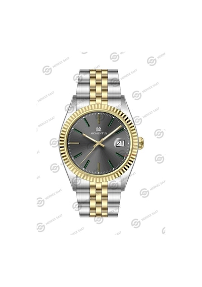 Momentus Men's Crown Master Cr251t-03sg Diğer