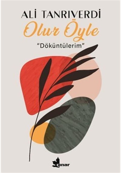 Olur Öyle & Döküntülerim / Ali Tanrıverdi